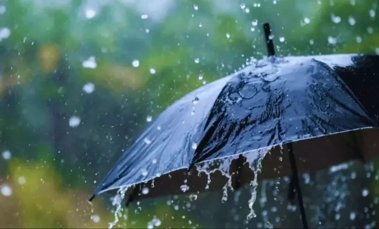 प्रदेश में अब तक 176.3 मि.मी. औसत वर्षा दर्ज