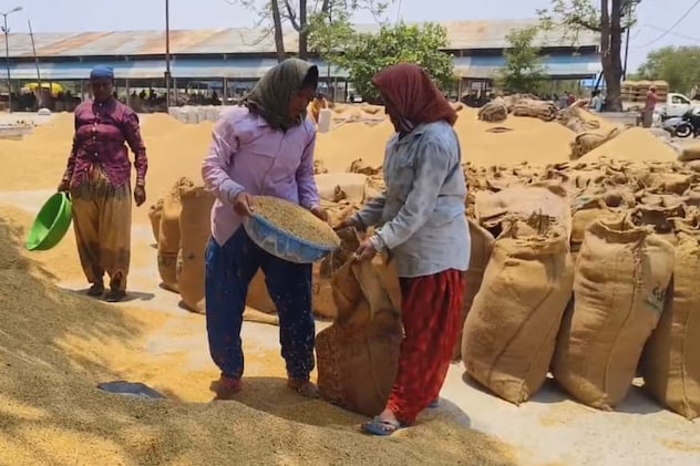 छत्तीसगढ़ में धान खरीदी प्रारंभ