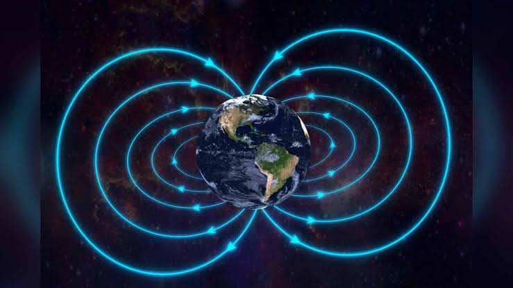 धरती के चुंबकीय क्षेत्र के सहारे सफर करते थे पुराने जीव TOOK