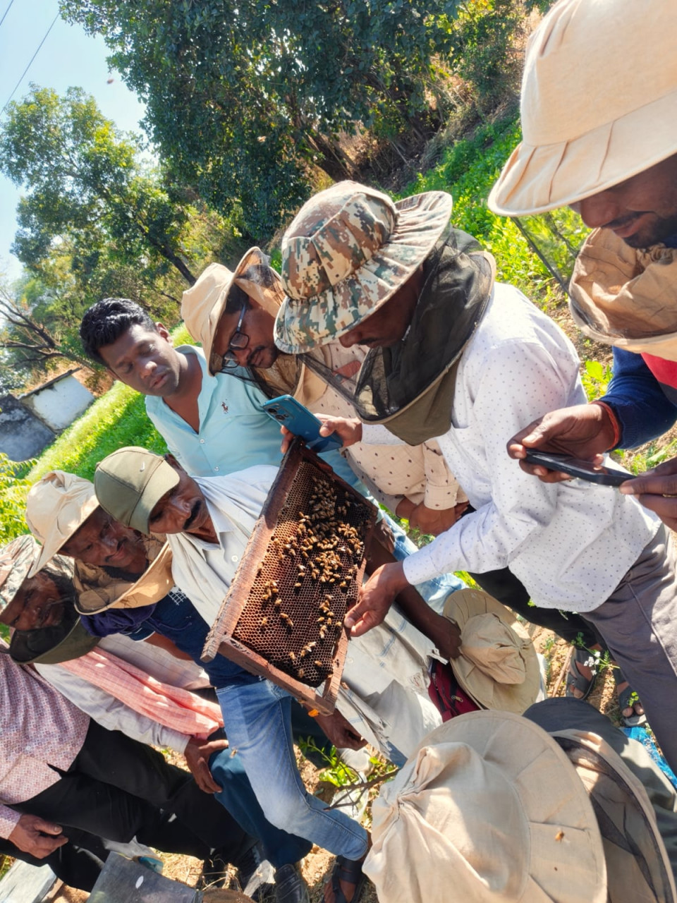 मधुमक्खी पालन से खुला किसानों की आर्थिक समृद्धि का द्वार