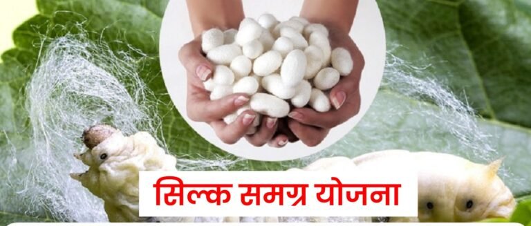 सिल्क समग्र-2 योजना जिले के किसानों के लिए आय और आत्मनिर्भरता का नया मार्ग