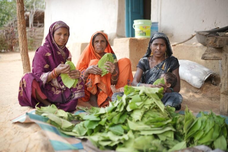 तेज धूप और थकान में भी हरा सोना से मिलती है राहत